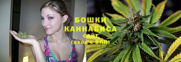 кокс Белокуриха