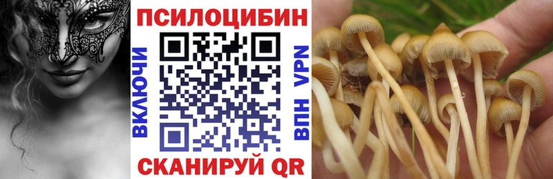 Галлюциногенные грибы Psilocybe  Петровск-Забайкальский 